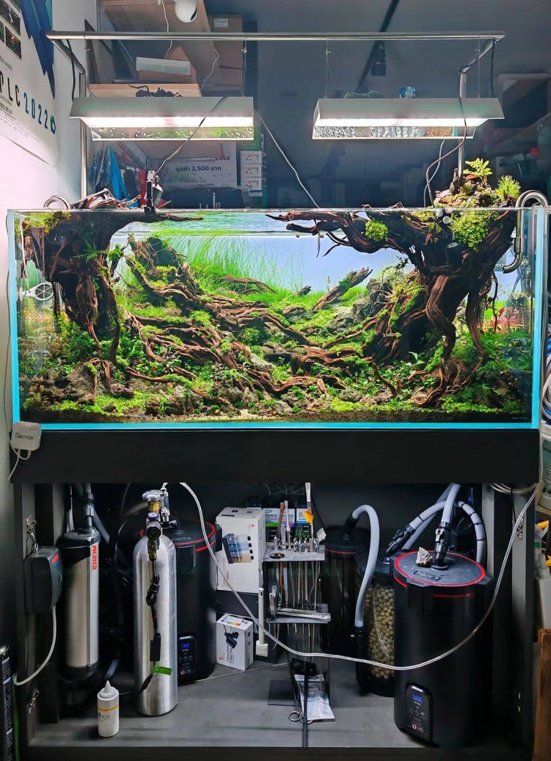 水族箱造景比賽 藝術與生態的完美融合