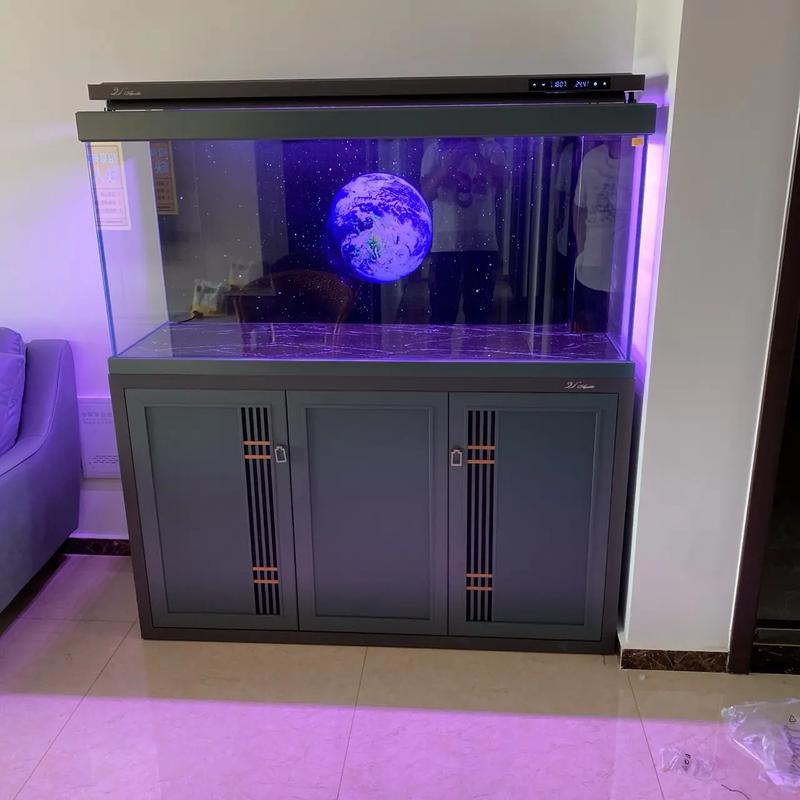 定州市南城區尹家莊 專業水族箱批發，打造水族愛好者首選地