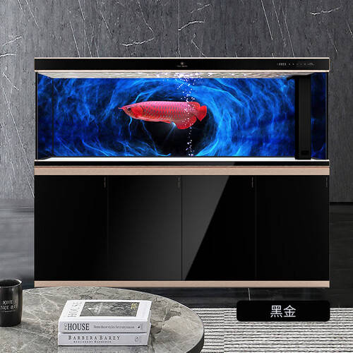 魚麒麟活性菌與可麗愛超白水族箱 打造夢幻魚缸生態新生活