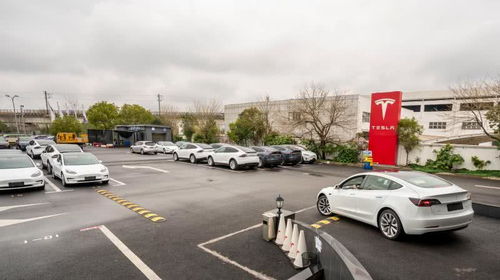 特斯拉2月國內新能源車銷量3958輛奪魁，集中式快速充電站成行業新焦點